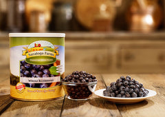 Saratoga Farms Freeze Dried Blueberries